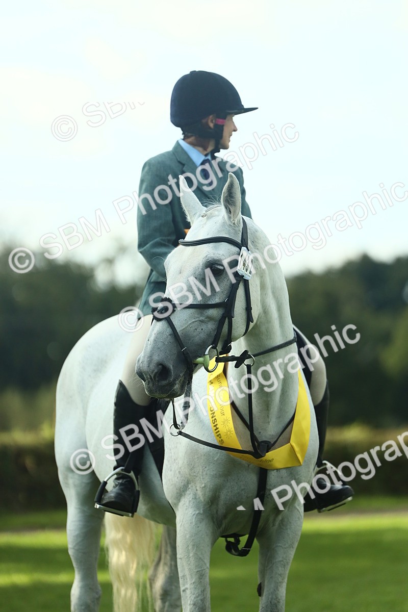 SBM_52225 - S33 - Working Hunter & Working Show Horse
