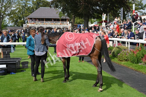 yr18082021r1-94 - Race 1 1.50pm Sky Bet & Symphony Group Stakes