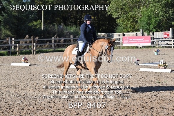 BPP_8407 - LONG ARENA