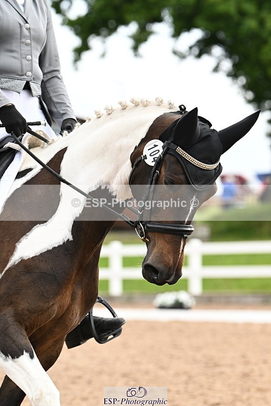 240623A-100642-16113 - Cls 29+30 Quest Prelim 12