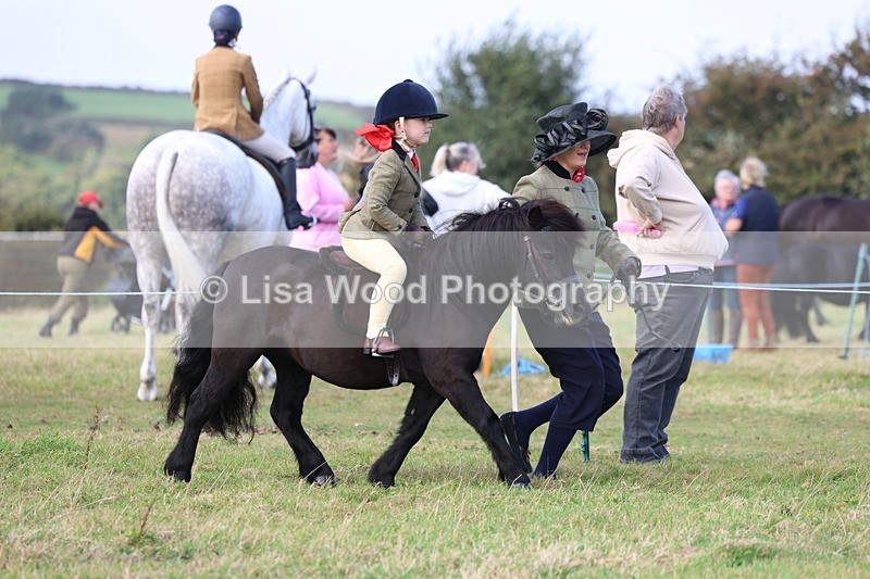 3E7A3511 - Class 2: Lead rein