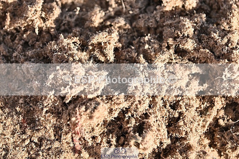 241120X-124024-00450 - Cls 04A&B Snr Newc & 110 Open