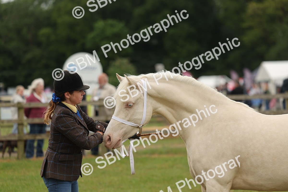 SBM_02392 - Class 50-57 - M&M Welsh Pony In Hand