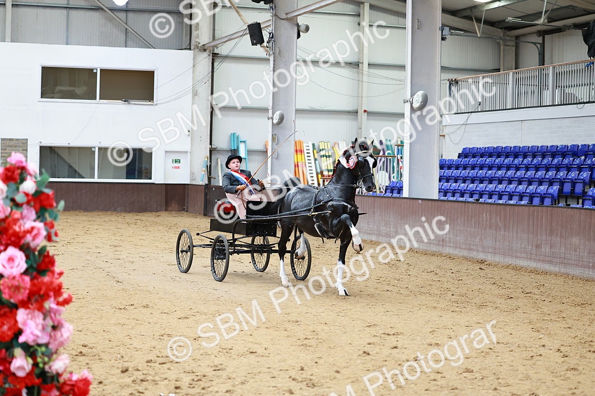 SBM_001026 - Class 13  - HHS Championship Intl Hackney Horse to a Show Wagon