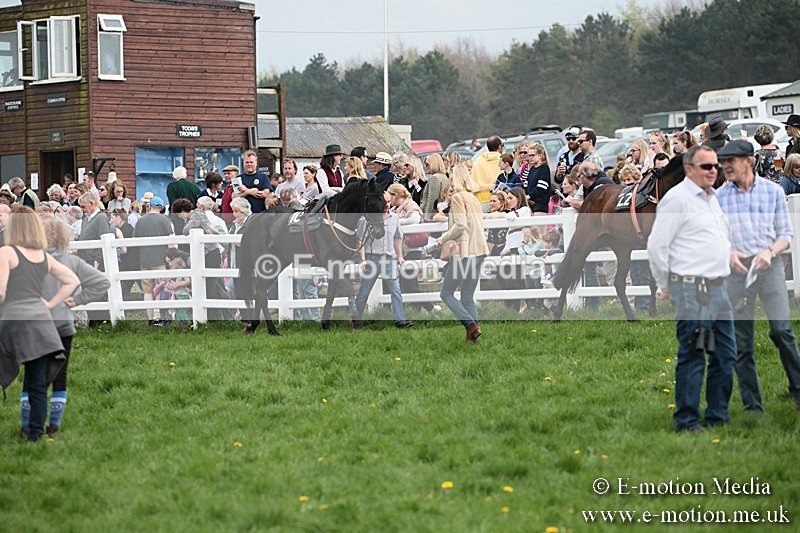 PtP 210418 171 - South & West Wilts Point-to-Point Larkhill 21/04/18