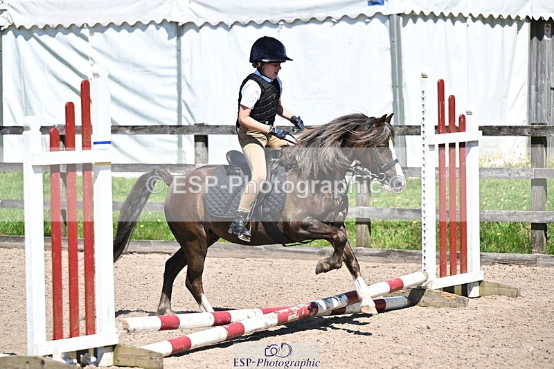 240729B-113658-02456 - Showjumping Competition