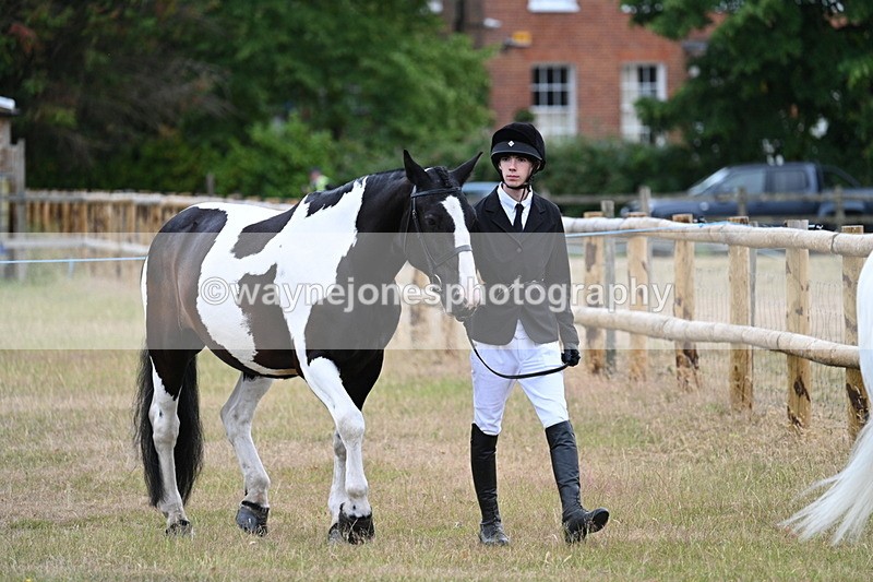 WJ7_9052 - Class 4a Prettiest Mare 14.2hh and over
