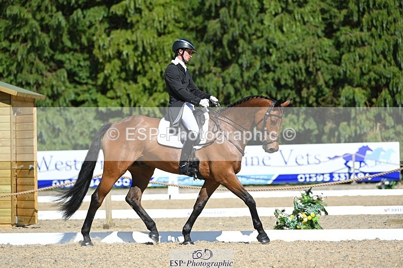 230526-161740-07327 - 255-HI_MR_HENRY-Henry_Hobby-WEDTrotUp+DR