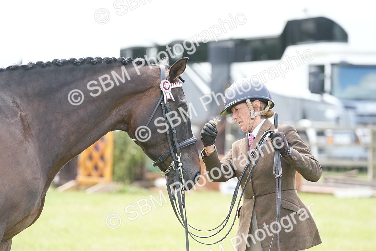 SBM_16259 - Class 105-106 - RIHS Riding Horses
