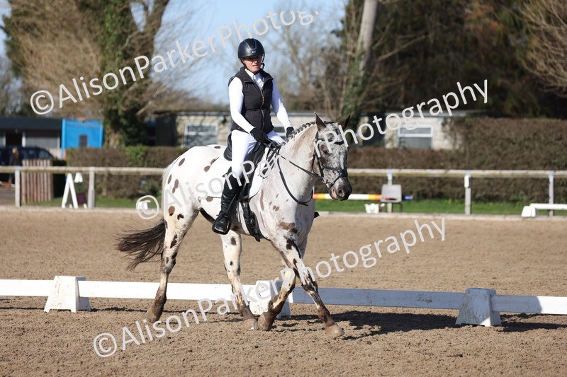 20260214-0393 - Class 4 - Novice 2