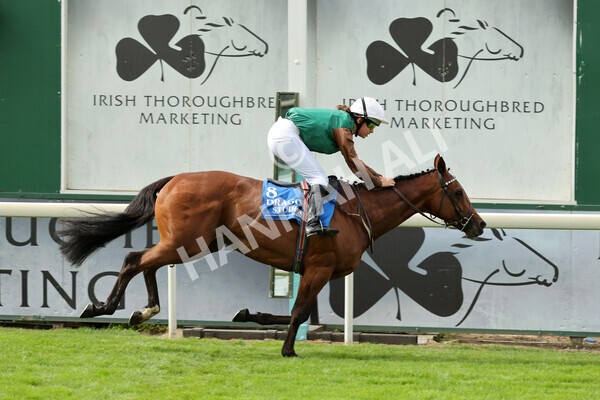 yr04092022p2-39 - 12.50pm. 148cm Open Pony Race