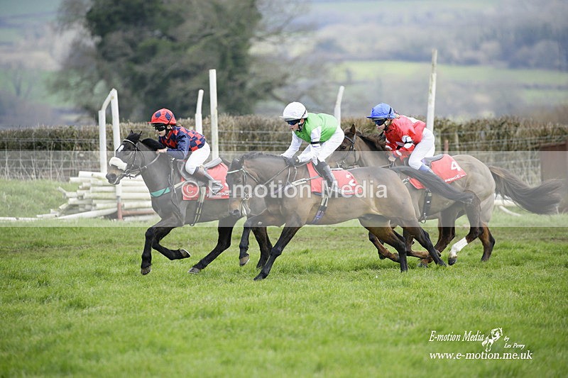PtP 060322 25 - Blackmore & Sparkford Vale Hunt PtP 06/03/22