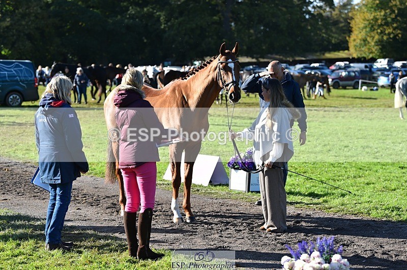 231022-110600-23718 - 436-MASSACHUSETTS-Georgia.Henderson-TrotUp+SJ