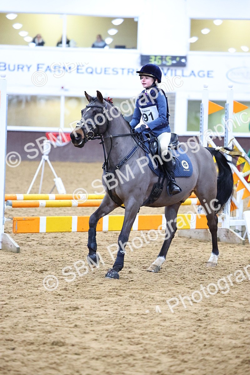 SBM_001280 - Class 3 - Christmas Tree Stakes - 60cm