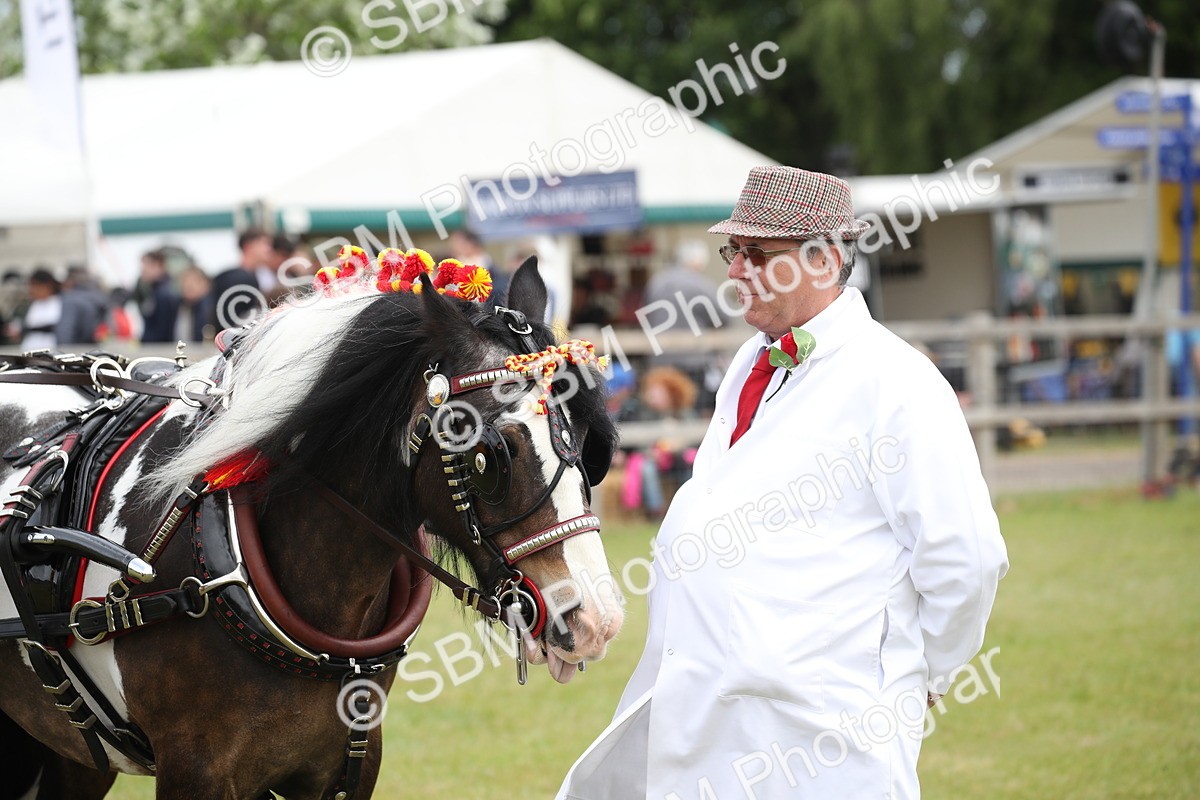 SBM_07025 - Class 16 - Light Trade