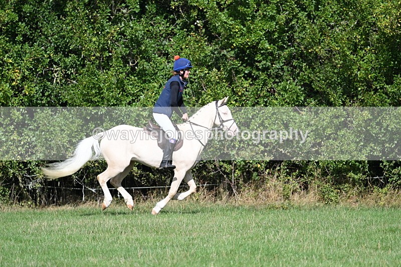 WJ7_8555 - 60cm Pairs