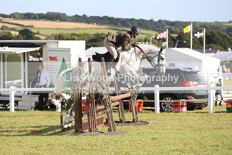 JPP_3428 - Class 22: Working Hunter 90cm