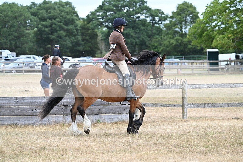 WJ7_0504 - Class 6 Ridden Mountain and Moorland