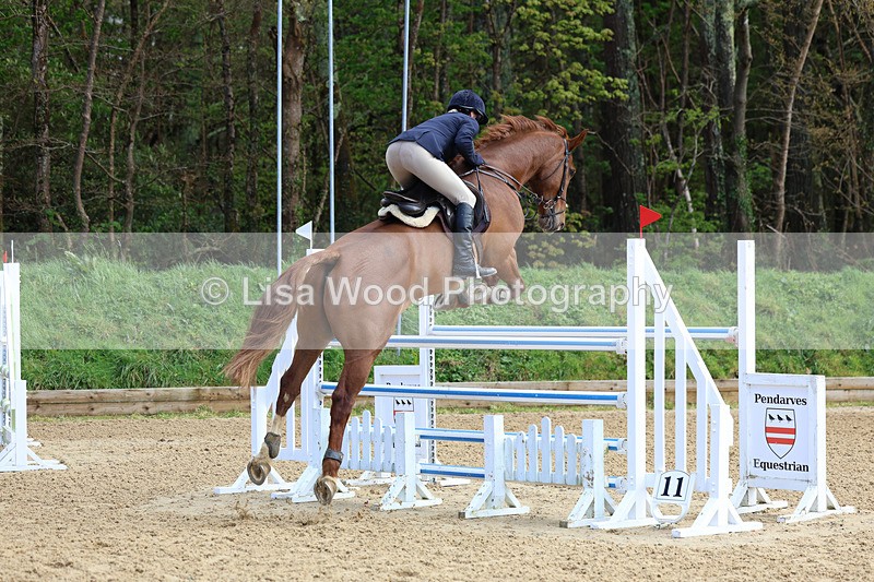 3E7A2122 - Class 8: Senior Foxhunter/1.20 open