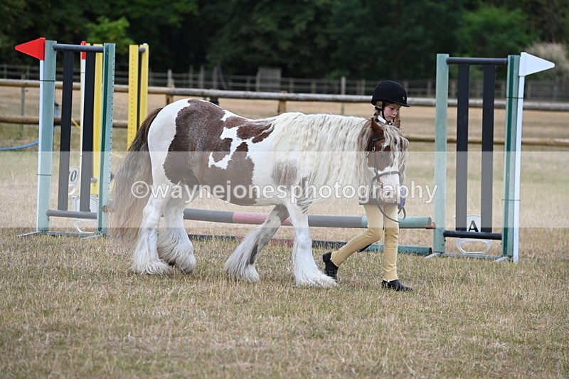 WJ6_8562 - Class 10 Coloured in Hand