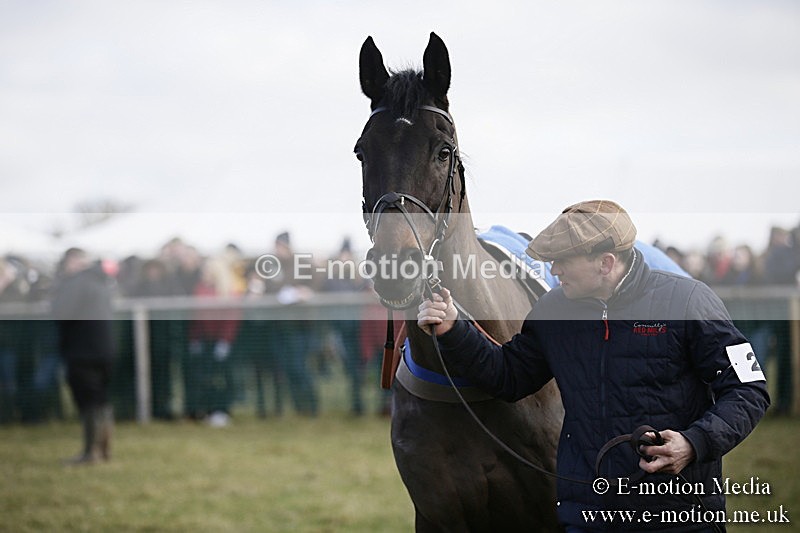 PtP 040218 66 - Point-to-Point Milborne St Andrew 04/02/18