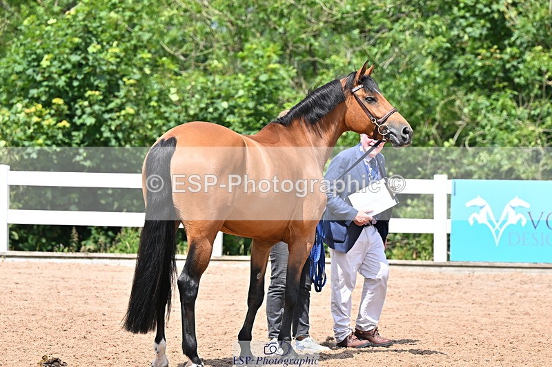 240718A-105319-01844 - Trot Up 1pm to 2pm
