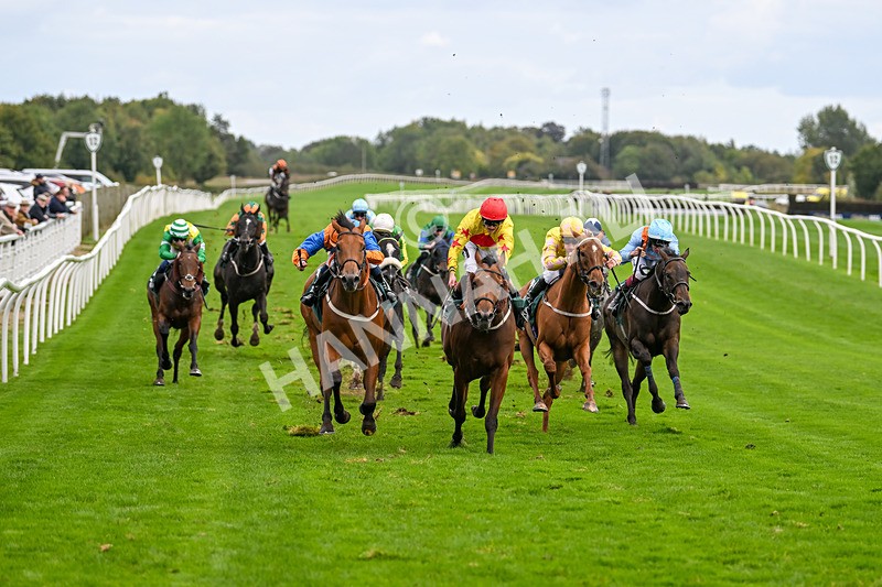 021024-Race 5-Homer Stokes-9528 - Race 5