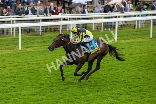 150624-Race 4-Jamess Delight-6155 - Race 4 3.35pm Churchill Tyres Supporting Macmillan Sprint Handicap