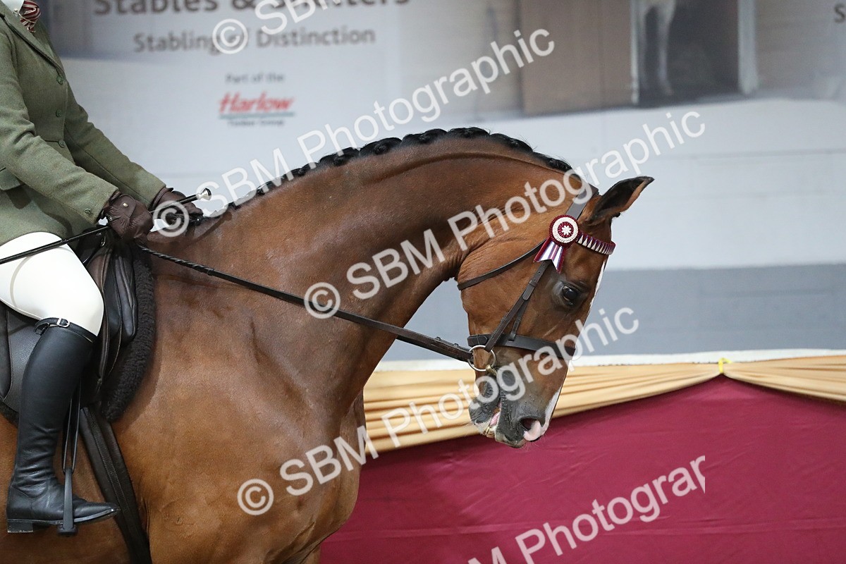 SBM_10290 - Class 102 Equitation (best rider) Adult