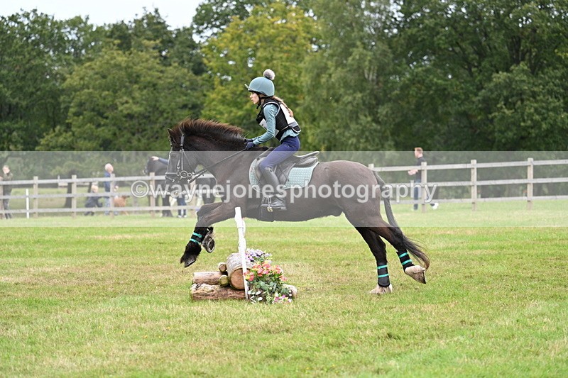 WJ7_7674 - 40cm Time 10:49 to 11:18