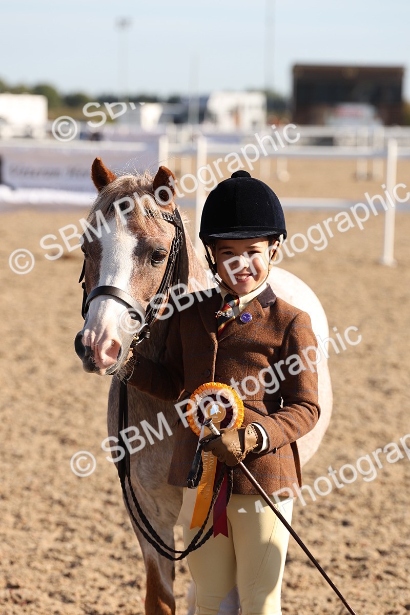 SBM_11697 - Class 203 - Young Handler 11 to 16 years