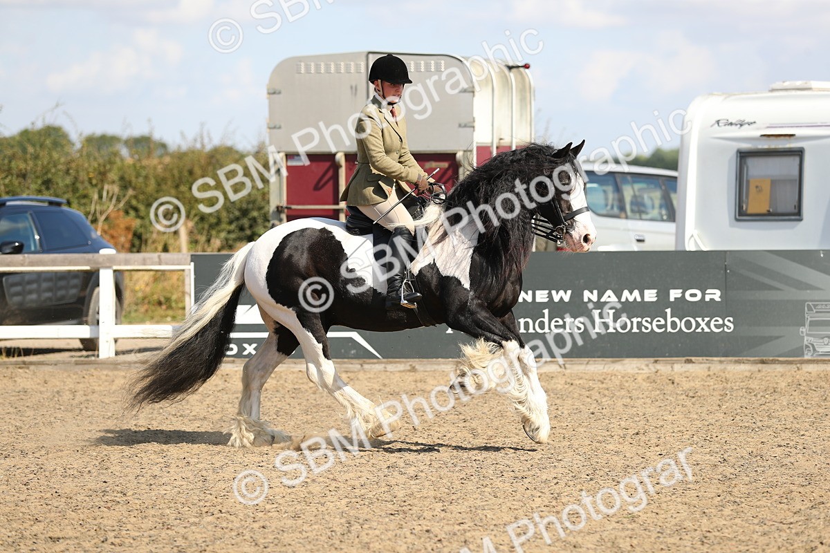 SBM_03233 - Class 44 Riding Club Horse/ Pony