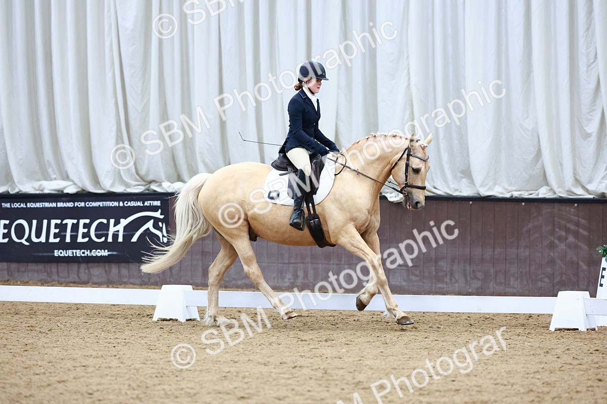 0B8A8294 - Class 5 - Novice 2