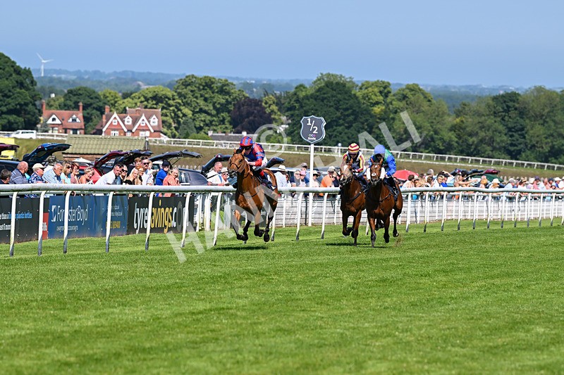 250624-Race 5-Drink Dry-5759 - Race 5