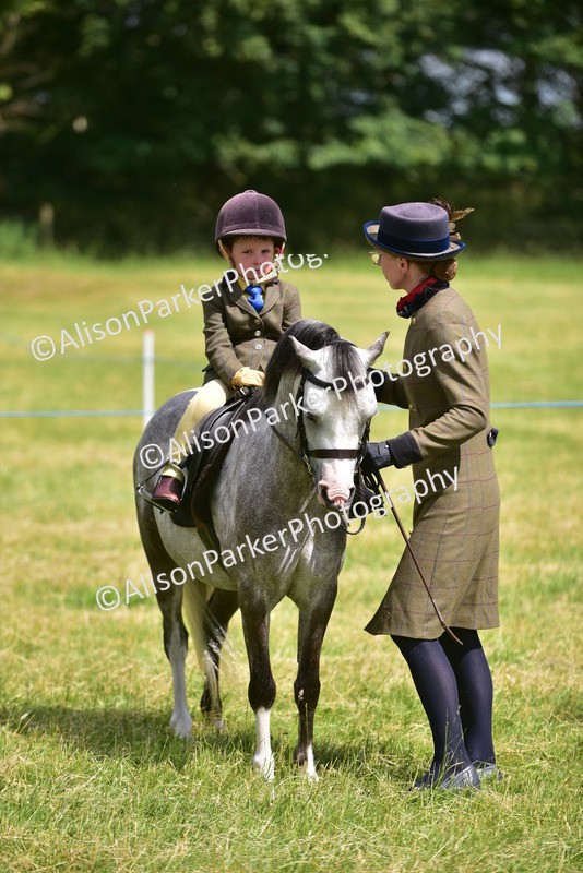 20260614-1195 - Class 11a - Lead Rein Pony (Unplaited)