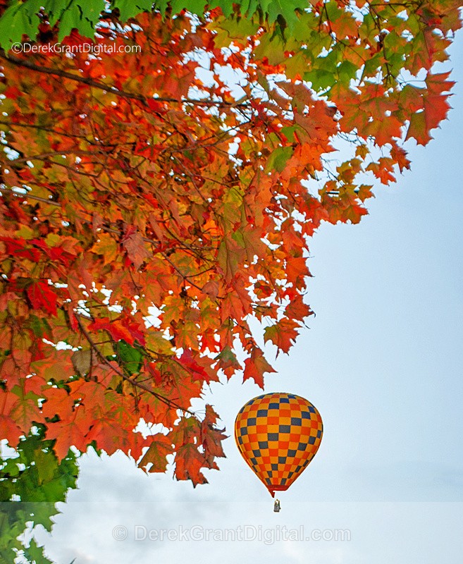 September - Atlantic International Balloon Fiesta 2022 - Atlantic International Balloon Fiesta