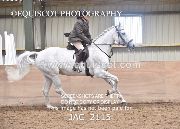 JAC_2115 - CLASS 1 Nursery Novice Working Hunter