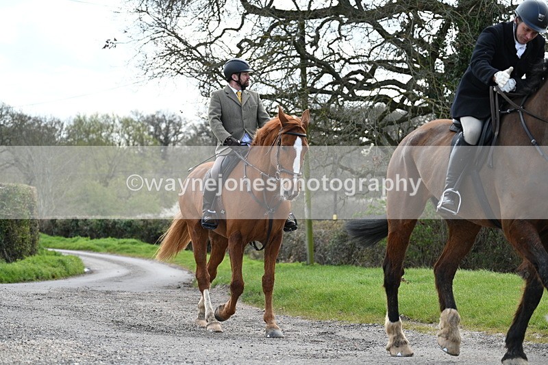 WJ7_9893 - Walk Home