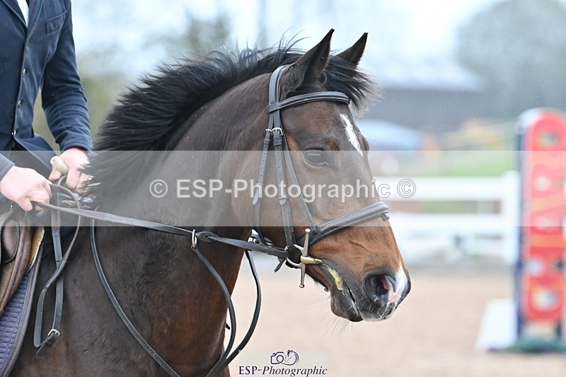 231119A-095158-04787 - Sun Cls 3 BlueChip Pony Discovery Qualifier