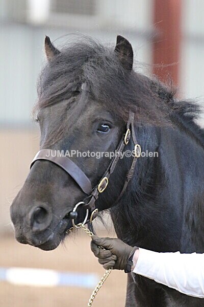 SIAL9428 - Indoor Classes