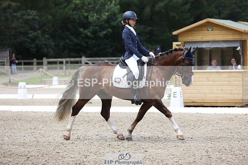 230812-115927-03898 - Cls 5 Novice Bronze 11.15 to 12.50 break