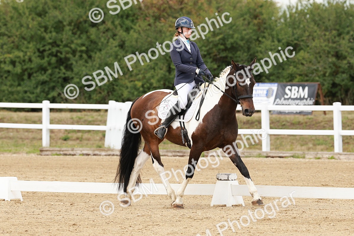 SBM_001821 - Class 8 - Elementary 6