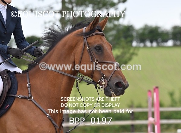 BPP_0197 - CLASS 9 SAT Senior Newcomers/ 1.10m Open