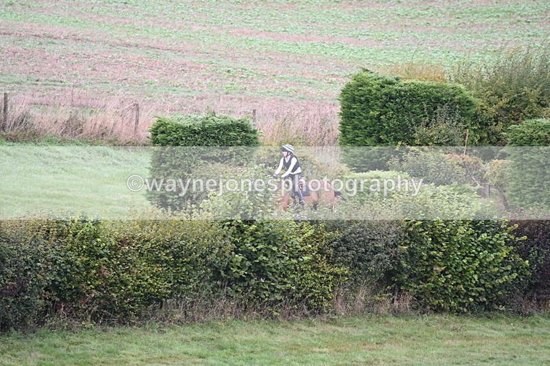 WJ6_1366 - Time 10:05 to 10:30  (3 cameras)