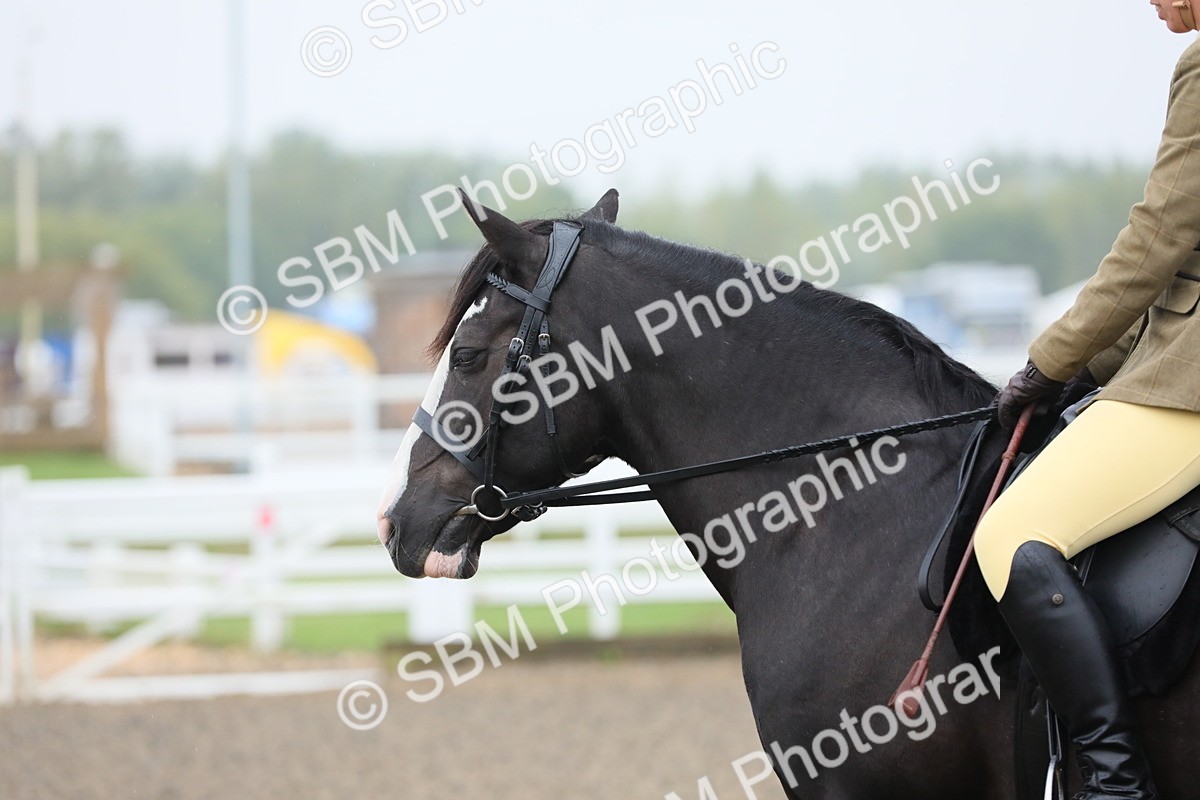 SBM_19934 - Class 801 - Ridden Veteran