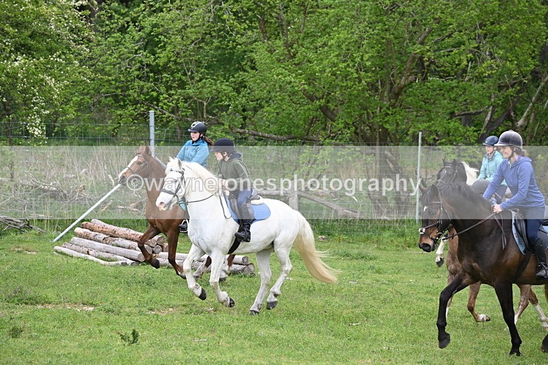 WJ6_3022 - A Camera