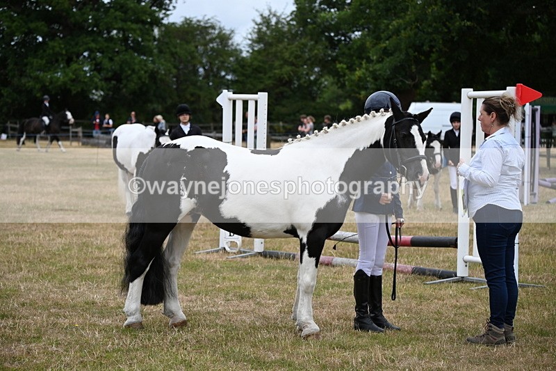 WJ6_4382 - Class 10 Coloured In-hand