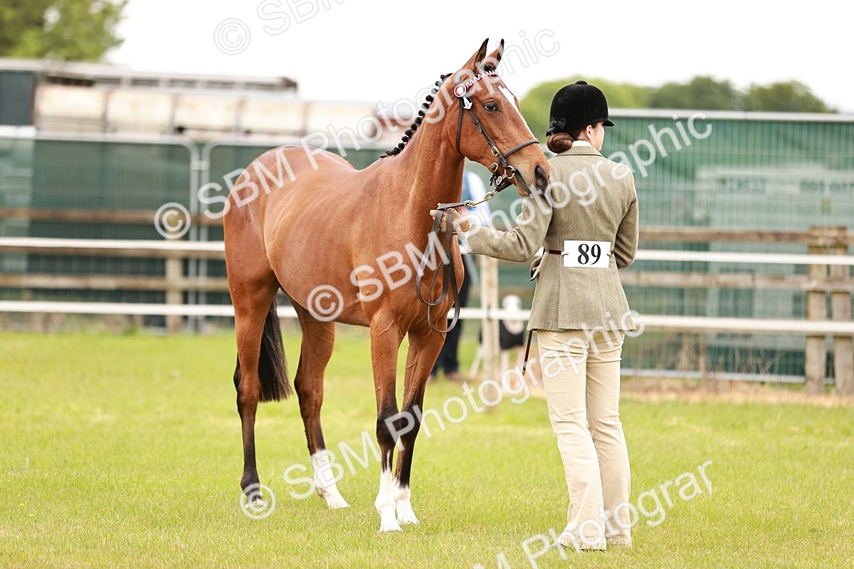 SBM_04772 - Class 35-38 Riding Horse Breeding