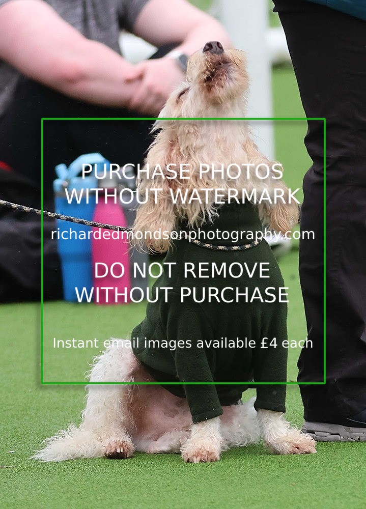 533A1401 - Ambleside Hockey vs Keswick Hockey (20/9/25)