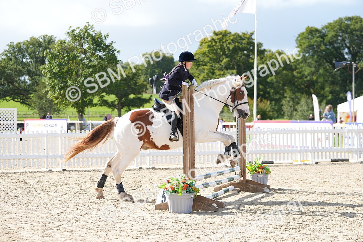 SBM_16832 - J58 - Clear Round 50cm